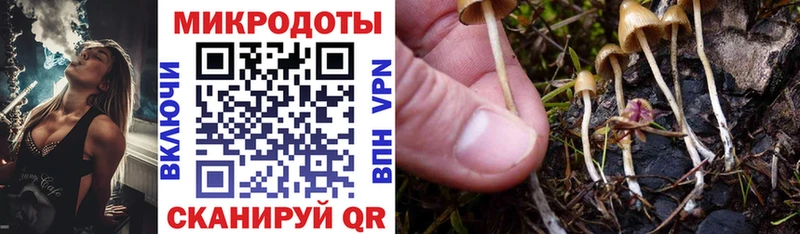 Псилоцибиновые грибы MAGIC MUSHROOMS кракен Лысьва